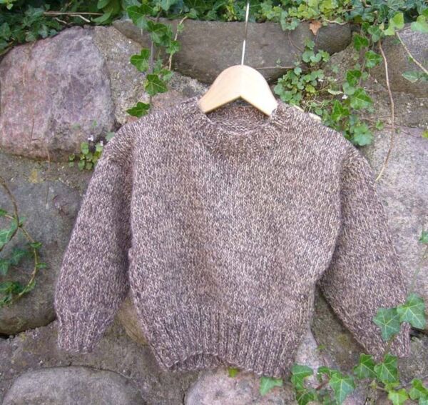 Gepard Sweater med knapper på skulderen 6-12 år