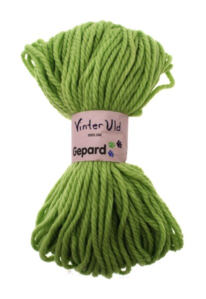 Gepard Vinteruld